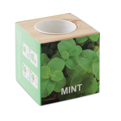 Menta magok fa tartóban, natúr Menta magok fa tartóban, natúr