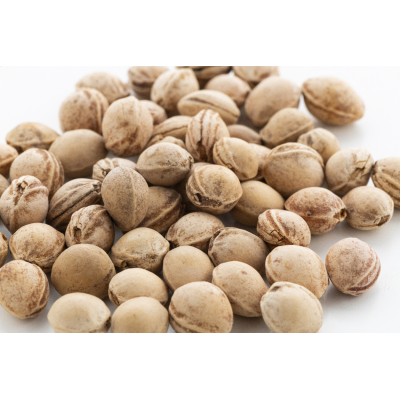 PitHeat Ear melegítőpárna cseresznye maggal