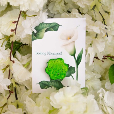 NŐNAPI MAGBONBON KÉPESLAP